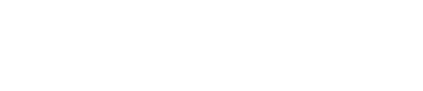 logo-schmidt-blanc